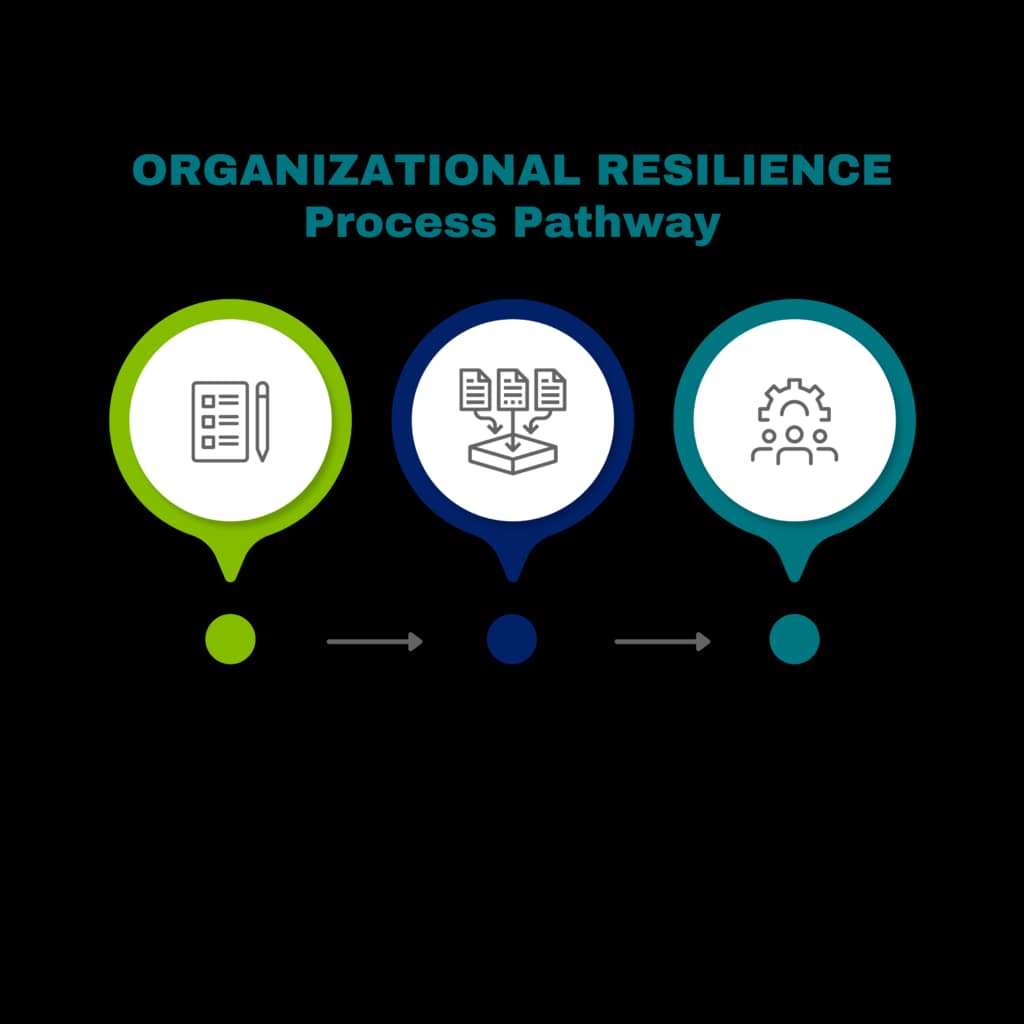 Organizational Resilience Assessment Tool