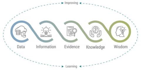 wisdomcycle